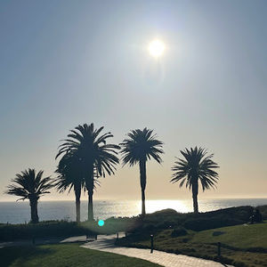 Meet your Posher, Jay